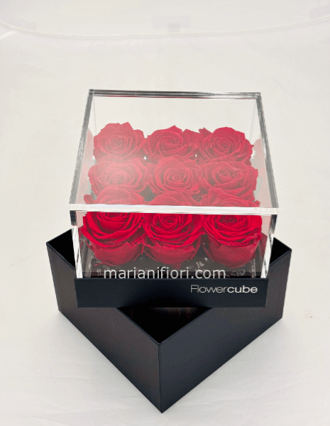 9 ROSE STABILIZZATO IN COFANETTO PLATINUM 